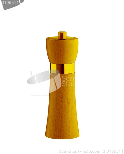Image of salt and pepper pot over white background