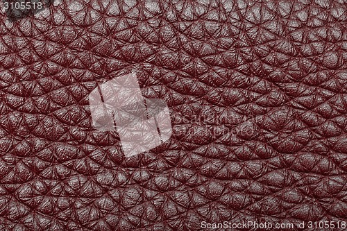 Image of brown leather
