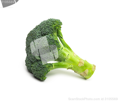 Image of Broccoli isolated on white background