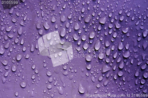 Image of Water droplets