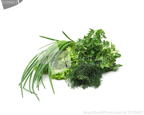 Image of fresh green grass parsley dill onion herbs mix