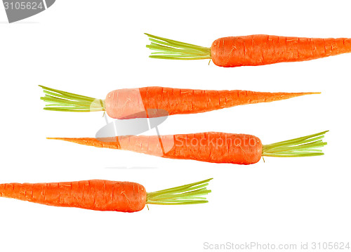 Image of fresh carrots isolated