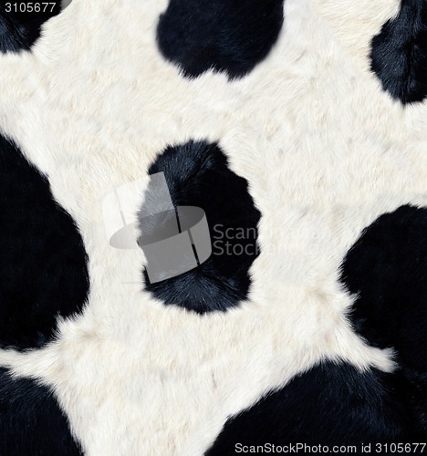 Image of Cow skin texture