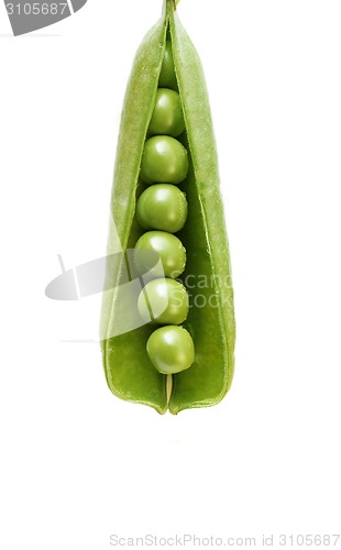 Image of peas isolated on white