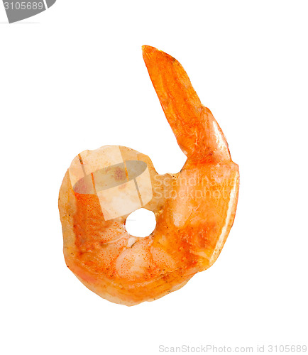 Image of Cooked shrimp isolated