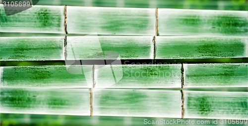 Image of bamboo background