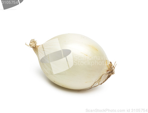 Image of Onion on white background