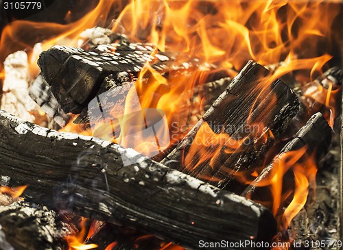 Image of aflame wood in bonfire