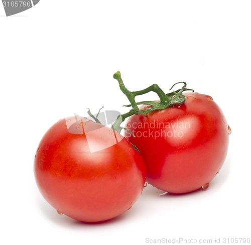 Image of two Tomatos