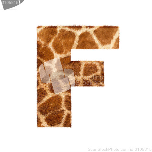 Image of Letter from giraffe style fur alphabet. 