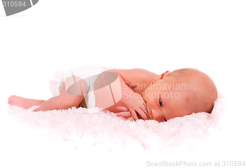 Image of Newborn