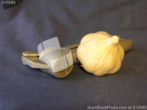 Image of Garlic 3