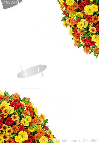 Image of Frame of flowers on white background