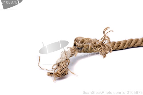 Image of ship rope and knot 