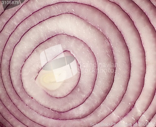 Image of sliced red onion on white background