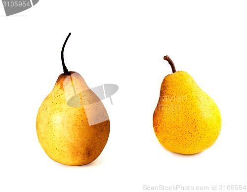 Image of Ripe yellow pears