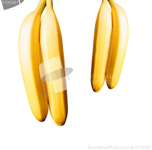 Image of Two mature bananas