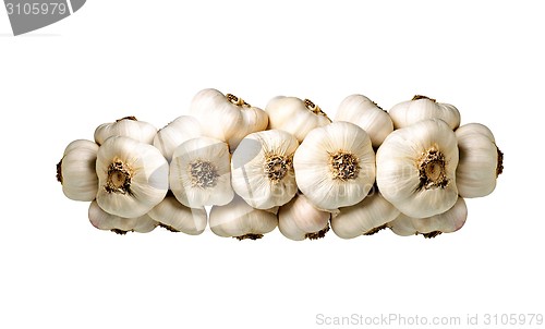 Image of Bunch of garlic isolated