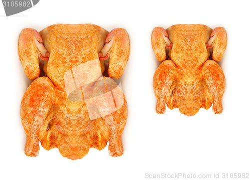 Image of Roast chickens isolated
