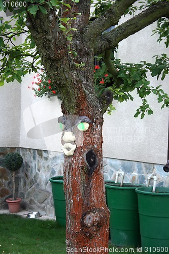 Image of Funny Tree