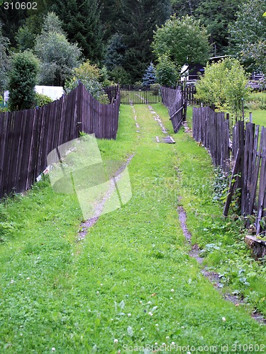 Image of Mountain Grassy Path