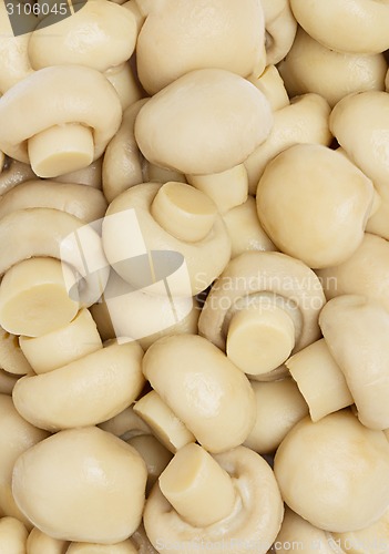 Image of Mushrooms seamless background.