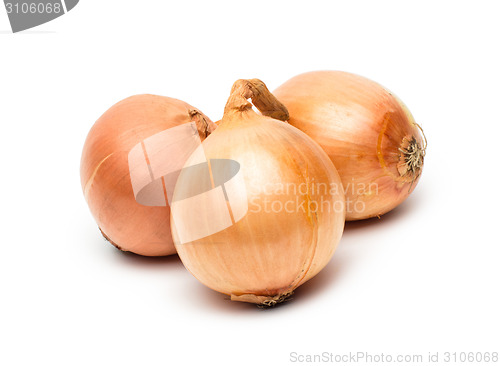 Image of Ripe onion on a white background