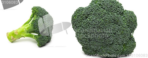 Image of Broccoli isolated on white background