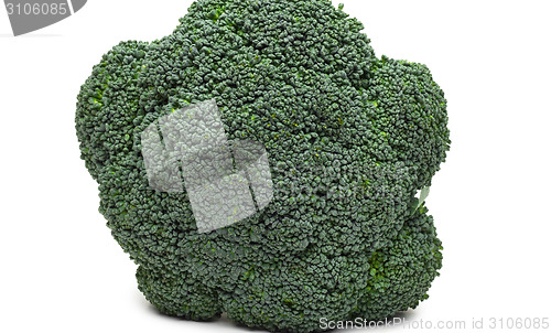 Image of Broccoli isolated on white background