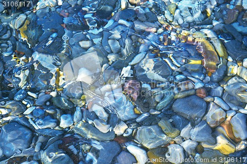 Image of Rocks in a shallow pond