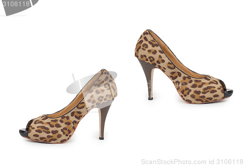 Image of ladies shoes leopard on a white background