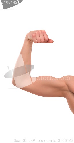 Image of Close up on a bodybuilder biceps