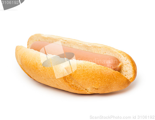 Image of hot dog isolated on white