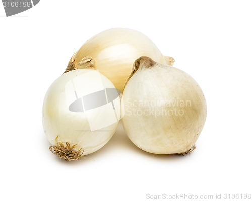 Image of Onion on white background