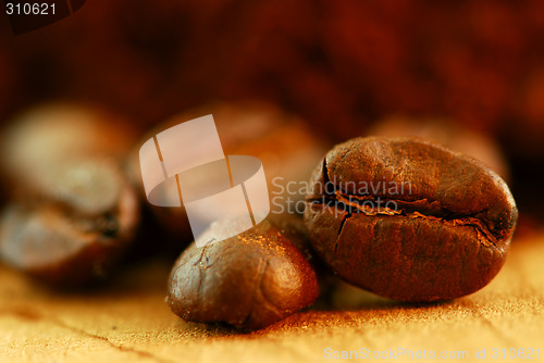 Image of Coffee beans