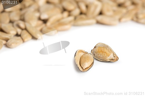 Image of fresh sunflower seeds isolated