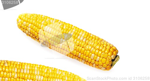 Image of Fresh raw corn cobs isolated on the white