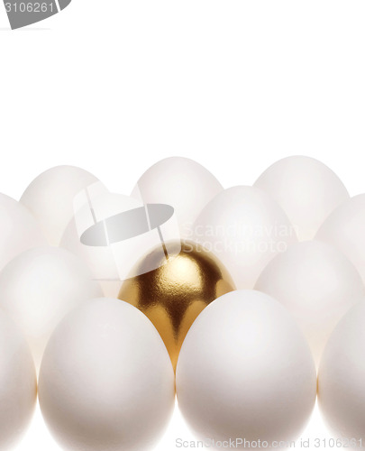 Image of one gold egg lays among common white eggs