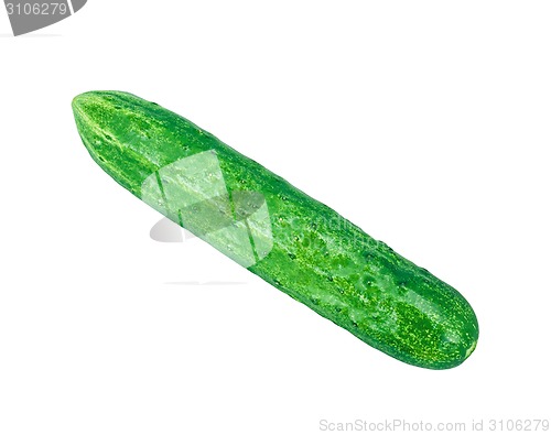 Image of Cucumber isolated