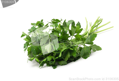 Image of fresh green grass parsley dill onion herbs mix
