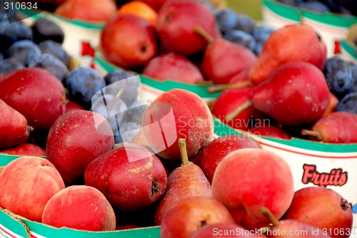Image of Fruits for sale