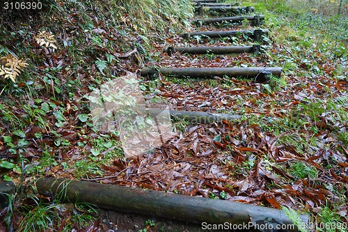 Image of Wooden trunk steps in autumn forest