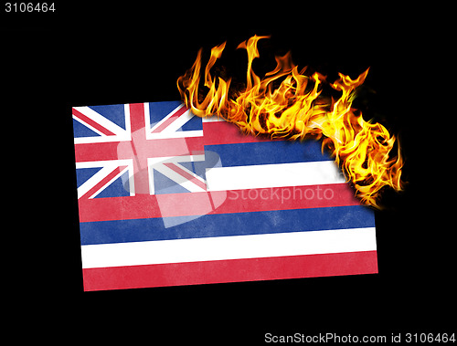 Image of Flag burning - Hawaii