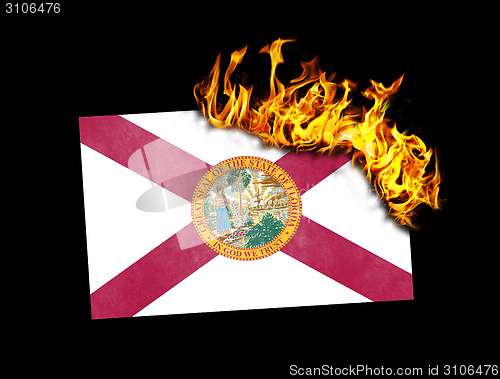 Image of Flag burning - Florida