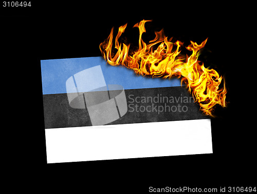 Image of Flag burning - Estonia