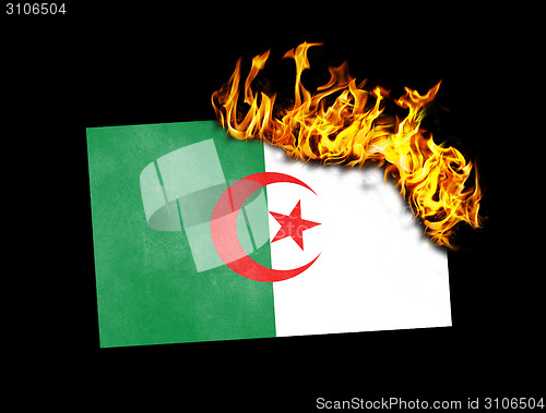 Image of Flag burning - Algeria