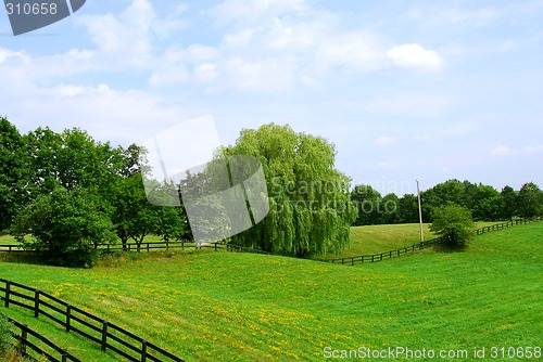 Image of Rural landscape