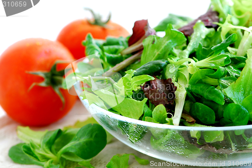 Image of Baby greens and tomatoes