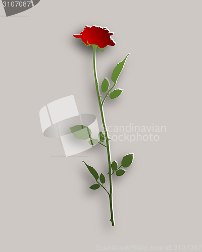 Image of Rose paper style