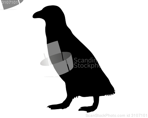 Image of Penguin silhouette